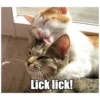 Lick lick!