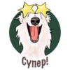 Dogs_rule_world 7