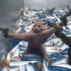 Funny Animals 2 5