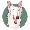 Dogs_rule_world 9