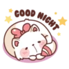Chubby Cat & Puffy Dog 6