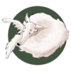 Dogs_rule_world 10