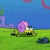 Sponge Bob 6
