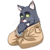 Blacksad 8