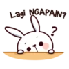 Kaito Bunny 9