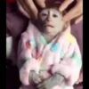 macaquinhos fofinhos 13
