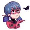 Ladybug 8