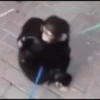 macaquinhos fofinhos 14