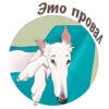 Dogs_rule_world 14