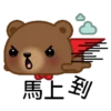 Coffee Bear 16