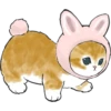Kittens mofu_sand 3 14