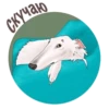 Dogs_rule_world 16