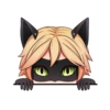 Ladybug 12
