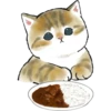 X على