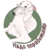 Dogs_rule_world 19