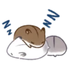 NN NN