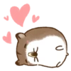 Hamster 15