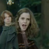 Hermione Granger 17