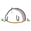 Hamster 16