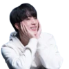 Jin BTS 17