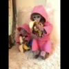 macaquinhos fofinhos 17