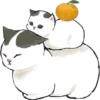 Kittens mofu_sand 3 19