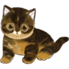 Kittens mofu_sand 3 20