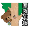 Coffee Bear 22