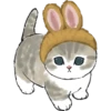 00