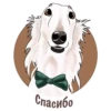 Dogs_rule_world 21