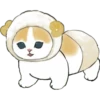 Kittens mofu_sand 3 22