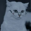 Meoww Pecc 22