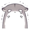 Hamster 20