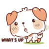 Chubby Cat & Puffy Dog 18