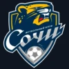 Football_logo 24