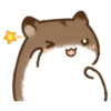 Hamster 23