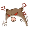 Hamster 25