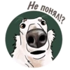 Dogs_rule_world 22