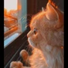 Meoww Pecc 27
