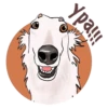 Dogs_rule_world 23