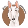 Dogs_rule_world 24