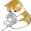 Kittens mofu_sand 3 24