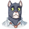 Blacksad 27