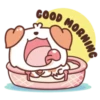 Chubby Cat & Puffy Dog 25
