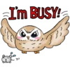 A little cute OWL 22