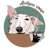 Dogs_rule_world 27