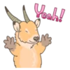 Yeah!