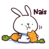 Kaito Bunny 27