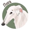 Dogs_rule_world 28