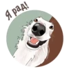 Dogs_rule_world 29